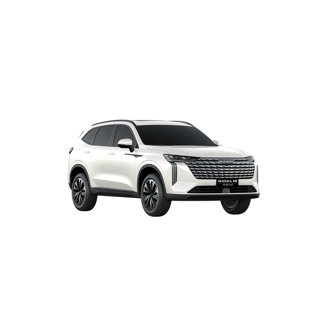 Haval H6 PHEV19 por assinatura